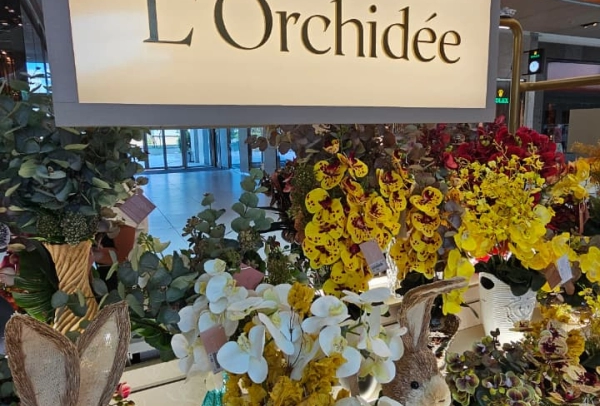 Quiosque Maison de L'Orchidée 4,20 x 1,80 (m) - Shopping Village Mall - Rio de Janeiro/RJ (2023)